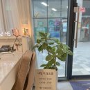 네일더물오름