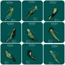 오로라 골프&amp;리조트 이미지