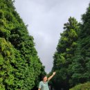 돈보라목장 | 여행 2박 3일, 서귀포 숙소 씨오르리조트, 감동 가득 성이시돌 목장, 뷰 맛집 바다목장을 품고 돌아오다