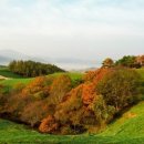 대관령 모터스 이미지