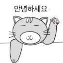 주식회사 비엠모터스 이미지