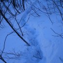 설악산 겨울산행(토왕성폭포...) 이미지