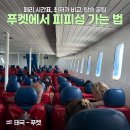 하버타운 앞 교통섬 1 | 태국 2주 살기 :: 푸켓 피피섬 페리 시간표, 가격 비교 및 탑승 꿀팁 총정리