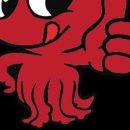 올레쭈꾸미 이미지