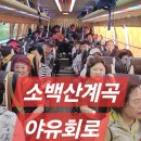 7월산행 단양 새밭계곡 이미지