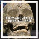 건강을그리는약국 | 데이미언 허스트 전시 기괴한 전시회 리뷰 국립현대미술관 예약 도슨트 굿즈