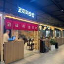 광화문초밥 | 광화문 점심 초밥 서울3대스시 코끼리초밥 광화문점 찐만족 후기