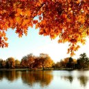 (주)오세요 이미지