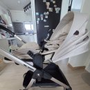 단델리온 | ABC디자인 태그 절충형 유모차 단델리온 골드 색상 사용 후기