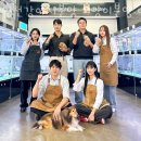 인천 강아지고양이 분양 미유펫 이미지