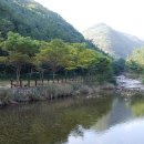 산길 이미지