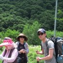 용소원 이미지
