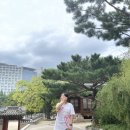 동상앵글 이미지