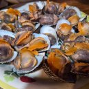 대화대박셀프 이미지