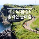 송악산 부남코지 화장실 이미지