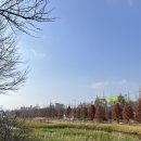 장림16-2 | [부산] 사하구 혼자 뚜벅이여행 기록(장림포구, 다대포해수욕장, 다대드라카페, 류센소라멘)