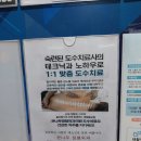 부산 명지 도수치료 후기 / 큰나무정형외과