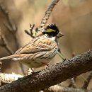 노랑제주 이미지