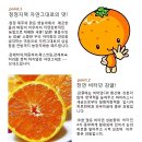 훈이네 농장 이미지