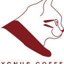 시그너스(Cygnus) 이미지