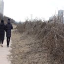 고양누리길 14코스 바람누리길 이미지