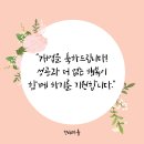 메가엠지씨커피안암 이미지