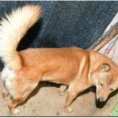 토요일오후 이미지