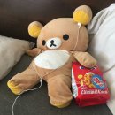 효진상사 | 11月 • doing starting changing adapting~ing