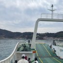 통영시 동물보호센터 | 통영여행 아이랑 가기 좋은 용초도 고양이학교