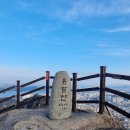 유달산 이미지