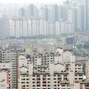 ㈜보고해양개발 이미지