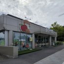 탄금호순환자전거길 5 | 충주 탄금공원 탄금호 자전거길 산책코스 좋아요