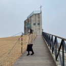 당진] 당진 당일치기 여행 코스 - 신리성지, 삽교호 놀이동산, 호호명이보쌈 / 주차, 시간, 가격, 포토존