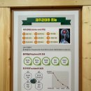 아하데이스파저온찜질통영죽림점