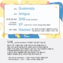 안티구아 이미지
