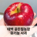태백농장 | 농장 직송 태백의 유기농 사과 내돈내산 솔직후기
