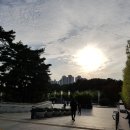 오마뎅동부