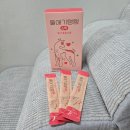 홍그루밍 | 고양이 영양제 디어랩스 울애기쌩쌩 스틱 눈 관절 건강하게 관리하기