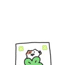 샤크 멀티짐 이미지