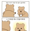 [내돈내산 CHC 컨설팅 후기] 취준 멘붕 상태에서 정신 차린 후기 (feat. 이력서 &amp; Resume &amp; 커버레터 뿌셔)