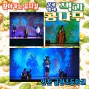 인천귤현초 이미지