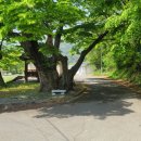 아치실마을 이미지