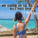 세부 자유여행 일정 경비 코스 비오비투어 찐 후기