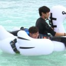 불타오리