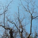 입석2리 이미지