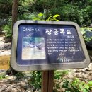 개인화물1861