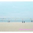 모히또바인오션 - 67728 | 모히또바인오션