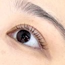 불당초등학교 | 천안 불당동 속눈썹펌, 브로우 비비에 – 1:1 맞춤 시술로 완성하는 또렷한 눈매 💖