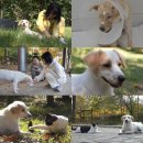 우정농장 이미지