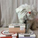 멍이방앗간 이미지